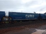 RUMO HTT-350167-1